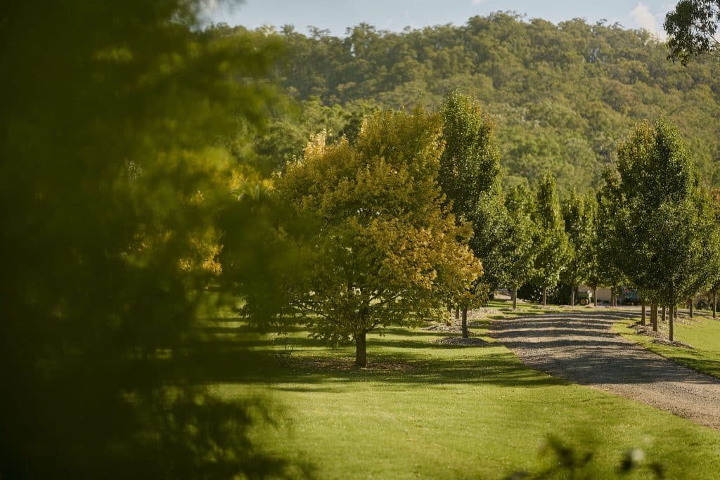The estate lawns and the lake at The Woodhouse Wollombi
