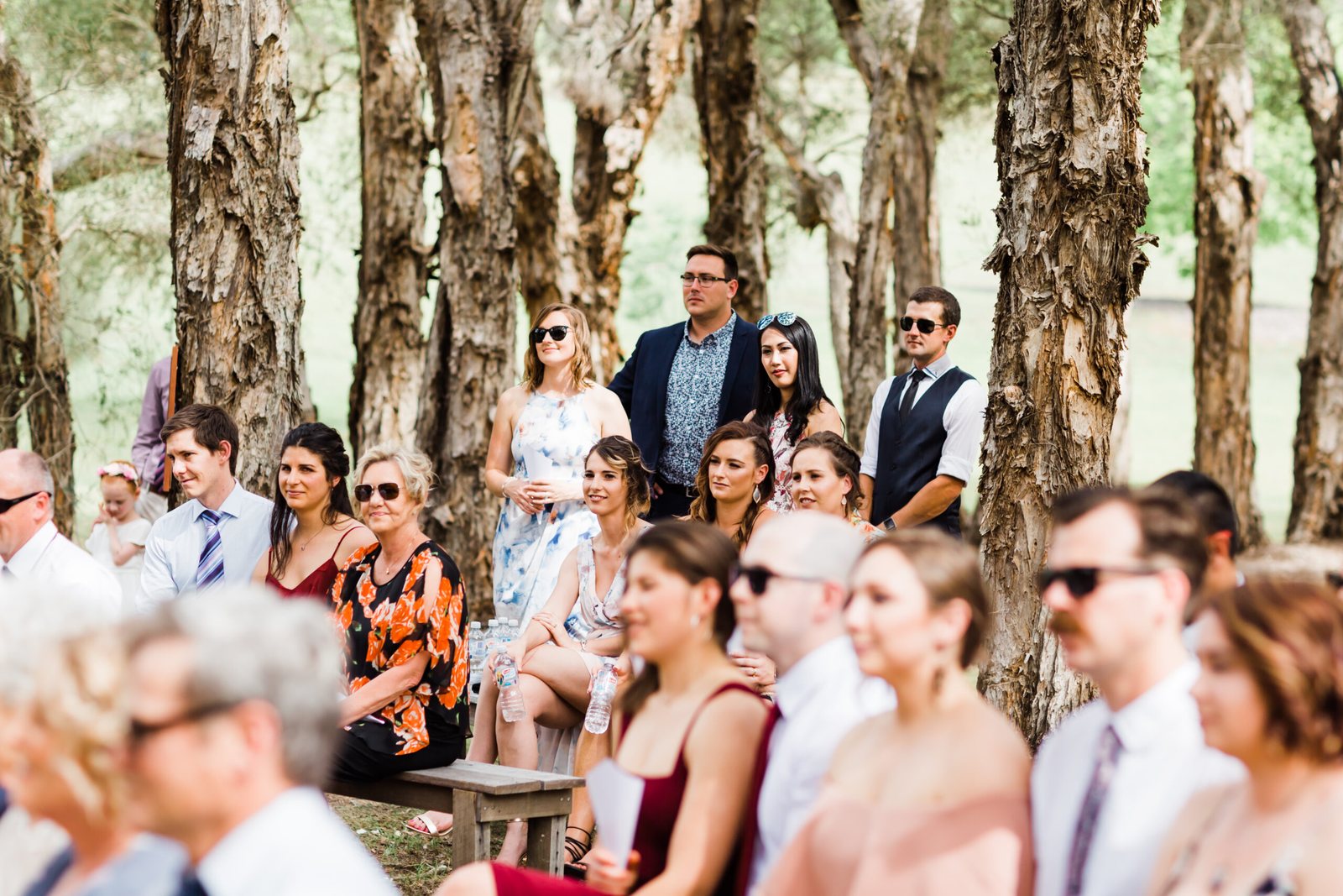 A ceremony inside The Pines with rows of guests