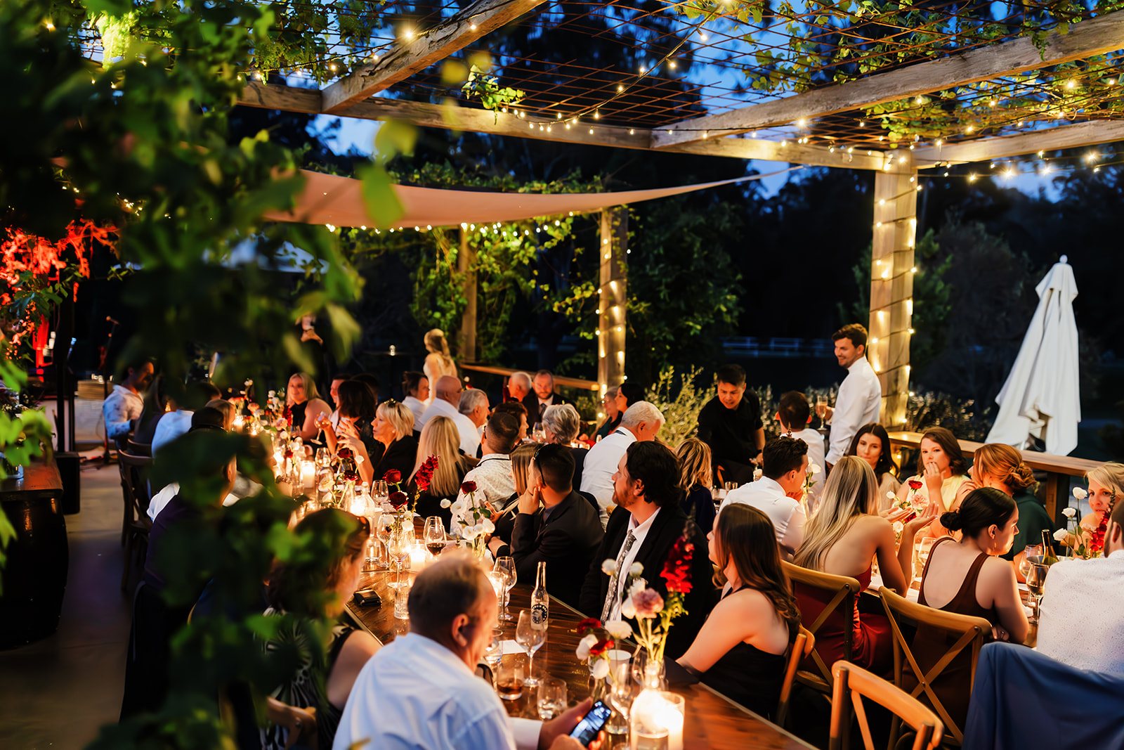Dinner on the terrace under festoons at night